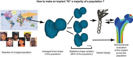 Population-based orthopaedic implant design and virtual testing.