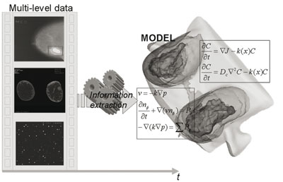 Figure 1: Extraction of multiscale temporal pathophysiological information for computing individualized models of pathophysiology. 