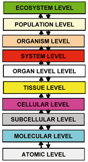 The ten levels of biocomplexity.