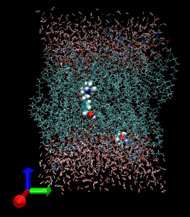 With an account on the National Grid Service, researchers in the UK are able to perform simulations such as the pictured drugs permeating from water (represented by red and white lines) through a membrane (represented by turquoise lines). By using the