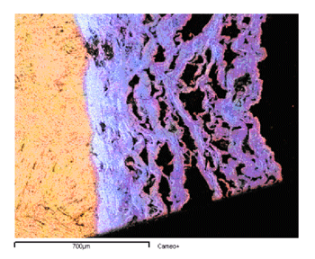 Figure 2: SEM-EDS map of the chemical elements on a marble surface exposed for 144 hours to SO2 aggression (calcium carbonate: on the left; gypsum: on the right). Data obtained in a laboratory test (courtesy of M.L. Santarelli of CiSTEC, Rome).