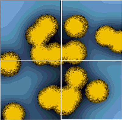 Figure 1: Screenshot of Micro-Gen simulation running in parallel on four separate computing nodes, with bacterial colonies (yellow) growing on nutrient agar medium (blue). Lighter shades of blue represent higher nutrient concentrations.
